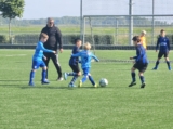 S.K.N.W.K. JO9-1 - ST FC De Westhoek '20/Z.S.C. '62 JO9-3 (competitie) 2024-2025 (4e fase) (33/48)